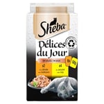 SHEBA Repas pour Chat - 72 Sachets Fraîcheur (Lot de 12 Packs 6x50g) - Pâtée en Sauce - Poulet / Dinde - Délices du Jour - Nourriture Complète & Equilibrée avec Ingrédients Naturels