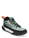 Greenstride Motion 6 Low Lace Up Hiking Boot Light Green Green Timberland