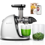 AMZCHEF Juicer Machines - Cold Press Slow Juicer - Masticating Juicer for Whole Fruits and Vegetables - Delicate Chew No Need to Filter - No BPA Juice Extractor with 2 Cups and Brush - White