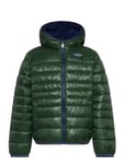 Levi's® Sherpa Lined Puffer Jacket Green Levi's