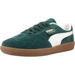 Baskets Puma  PALERMO