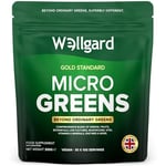 Wellgard Micro Greens 300 Grams – Greens Powder, 57 Ingredients, 84 Scientifically Proven Health Benefits, Super Greens Powder