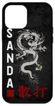 iPhone 12 mini Dragon Sanda Chinese Boxing Case