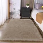 Latepis Tapis Beige 90x150 cm de Chambre à Coucher pour Salon Canapé Décoration Brun Clair Tapis en Fausse Fourrure Moelleux Lavable pour Chambre à Coucher