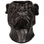 A Lot Decoration Bulldog Kruka Svart