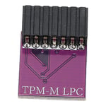 TPM 2.0 Encryption Security Module 14Pin LPC Interface TPM 2.0 Module for Win11 2.0 for ASUS Platform Purple