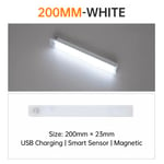 White Light 20CM indoor lighting Bande Lumineuse LED Sans Fil avec Capteur de Mouvement, Rechargeable par USB, Luminaire Décoratif d'Nik, Idéal pour une Armoire, une Cuisine ou une Chambre à Coucher, 10/20/30/50cm ""Nipseyteko