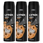 Lynx XL Body Spray 48-Hours High Definition Men's Fragrance Protect from Sweat and Odour with the Unique Scent Masculine Deodorant Spray for Men, 200ml (Leather & Cookies, Buy 3)