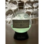 Harry Potter - Lampe Potion Polynectar - 20cm