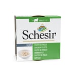 Schesir i Gelé 6 x 85 g - Kyllingfilet