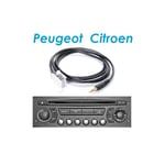 Antenne stéréo pour autoradio Aramox FM AM Antenne de toit de voiture mate  avec remplacement de faisceau de câbles pour Peugeot 205 206 306 307 309