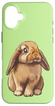 Coque pour iPhone 16 Plus Mini Holland Lop Bunny Rabbit Lover