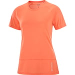 Salomon Cross Run Femme Orange