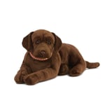 Living nature - Giant chocolate Lab