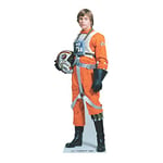 Star Cutouts - Stsc483 - Figurine Géante - Luke Skywalker - Star Wars - 184 X 68 Cm