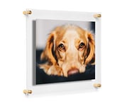 Cool Modern Frames 8x10 Clear Double Panel Floating Acrylic Picture Frame Display with Gold Hardware for Displaying Art and Photos on Wall