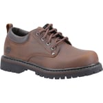 Skechers Mens Tom Cats 6618-Cdb Dark Brown Lace Up Shoe