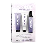 ASP SYSTEM BLONDE Anti Yellow ( Shampoo, Conditioner 275ml ea & Mousse ( 300ml )