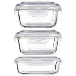 Freska 520/800/1520ml Borosilicate Glass Lunch Box Food Container Airtight Lid