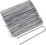 Meister 9962910 Lot de 50 piquets d'ancrage 150 x 20 mm en acier galvanisé dans un kit pratique – Convient pour les films, les non-tissés et les filets – Pour une fixation facile dans le sol/Piquets