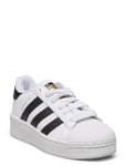 Superstar Xlg C Sport Sneakers Low-top Sneakers White Adidas Originals