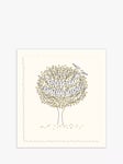 The Proper Mail Company Heart Tree Birthday Card