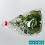 [3 Packs x 10g] Fresh & Organic Curry Leaves *Grade A* - FREE FAST P&P