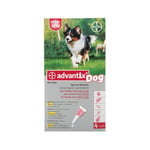 Advantix Chien Moyen - 10 à 25 kg - 4 pipettes