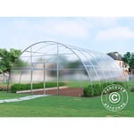 Serre polycarbonate, Strong nova 36m², 6x6m, Argent