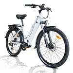 Hedatx TX520 27,5" elcykel med 250W mellandriven motor, 48V 13Ah batteri, SHIMANO hydrauliska bromsar och 45km/h hastighet