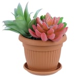 Pot De Fleur Avec Soucoupe Plastique Marron D 25 Cm Cache Pot Classique Jarnidniere Rond Bol Boite A Fleurs Plantes