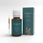 CBD-olja – Katt