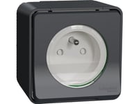 Schneider Electric Mureva Style Socket 2P + Pe Anthracite Mur35031