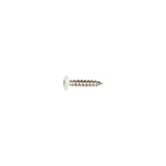 Fastex 125400198017 Bleckskruv 1000-pack, Stainlex, 4,0 x 19 mm Brun