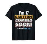 Driving Lessons Learner Driver 17th Birthday Im 17 Today T-Shirt