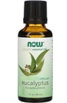 Now Foods - Organic Eucalyptus Oil (30 ml)