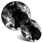 Mouse Mat & Coaster Set - BW - Cute Kittens Black Tabby Ginger Cat  #43908