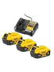 Dewalt DCB1104P3-QW 18V XR 5Ah Triple Battery Starter Kit