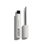 XLASH Xbrow Eyebrow Serum Brynserum 5 ml