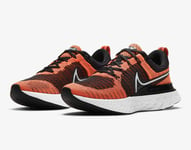 NIKE REACT INFINITY RUN FLYKNIT 2 SIZE UK 5.5 EUR 39 (CT2423 005)