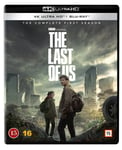 THE LAST OF US PART II Poster Ellie (91.5x61cm)