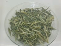 Olive Leaf 75g 🌿 dried cut loose herb NEW 2024 HARVESTED 📢 tea infusions☕