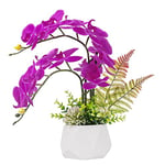 LESING Fleurs d'ochidée artificielles avec Vase, Fleurs artificielles en Pot, orchidée phalaenopsis dans Un Vase pour décoration de la Maison (Style 1, Vase Blanc)