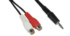 InLine 0.2 m 2 x RCA Femelle vers 3,5 mm mâle câble Audio stéréo