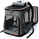 Lekesky Expandable Cat Carrier Backpack - Portable Breathable Rucksack for Medium and Small Cats & Dogs, Foldable with Inner Escape-proof Leash and Pet Mat, Supports 15 lbs (Grey)