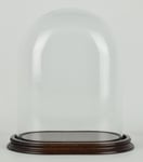 Vintage Look Medium Oval Glass Dome With Wooden Base Height 26 cm