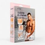 AirDoll David Blowme Seksinukke