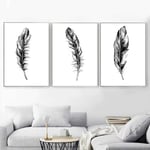 Nordic Minimalism Feather Cartoon Wall Art Canvas Painting Posters And Prints Black White Wall Pictures For Living Room Decor-40x50cmx3 pcs no frame