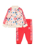 Sst Tracksuit Sport Tracksuits Red Adidas Originals