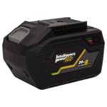 Batterie Lithium Ion VITO 6Ah Gamme sans fil 20V Jardin et Electro portatif